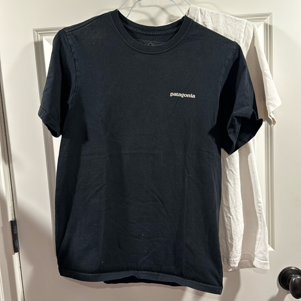 Patagonia lot of 2 AS T-shirts